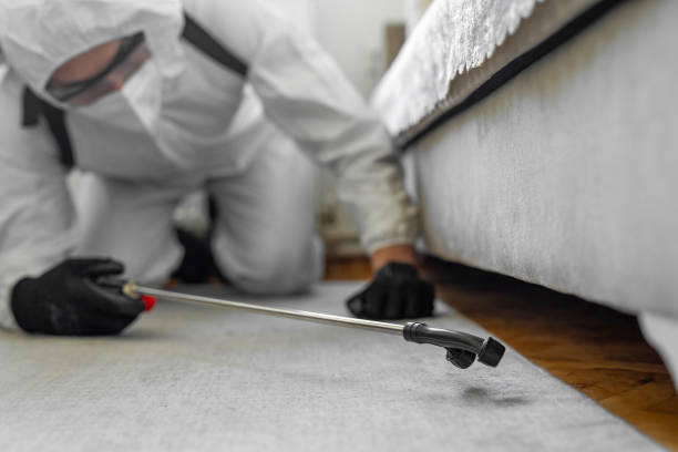 Professional Bed Bug Control technician working in Pineville, NC