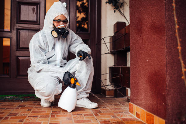 Reliable Bed Bug Control contractor in Pineville, NC by Nex Pest Control